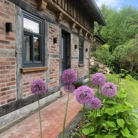 Haus Am Fischendorfer Bach Villa Bad Fallingbostel Esterno foto