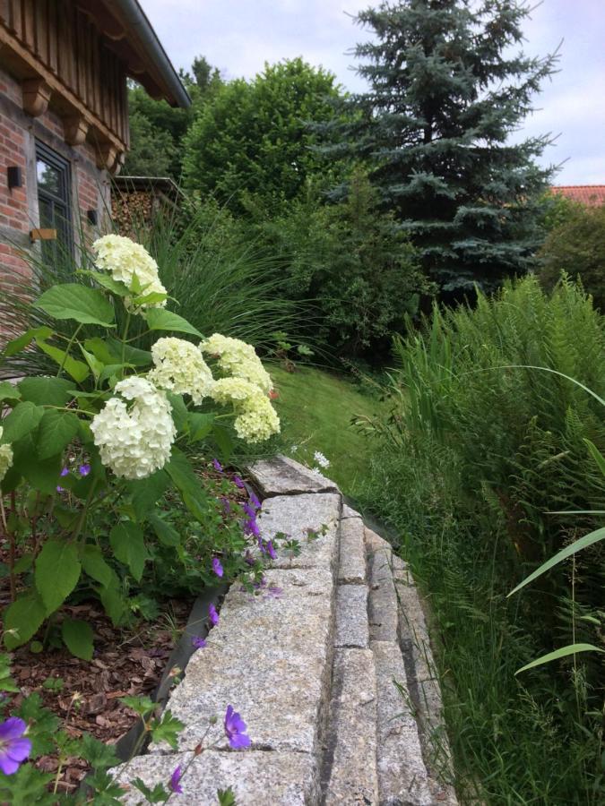 Haus Am Fischendorfer Bach Villa Bad Fallingbostel Esterno foto