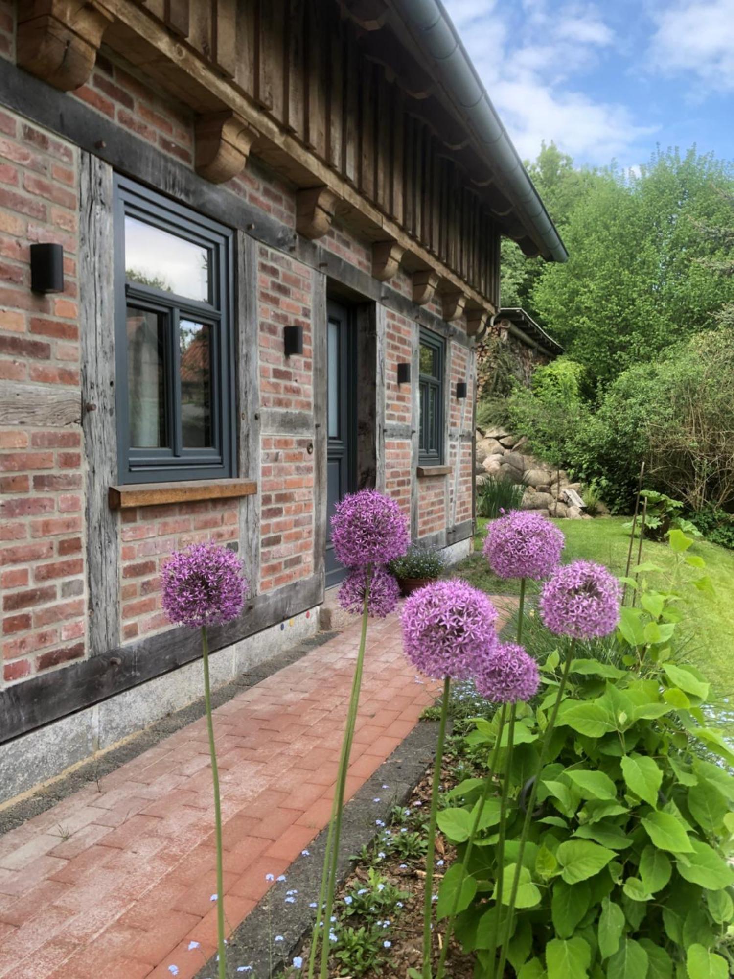 Haus Am Fischendorfer Bach Villa Bad Fallingbostel Esterno foto